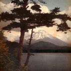 5c8ae307360000a61b6c3cb3