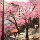 5c8ae308360000a61b6c3cb5