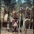 5c8ae3092300007f0123e02f