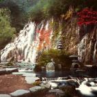 5c8ae30b2000009e046fea6b