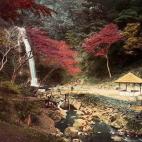 5c8ae30c2400000a05a3db76