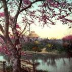 5c8ae30c360000ba1a6c3cb7