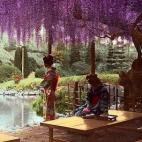 5c8ae30c2400006d054c9f50