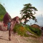 5c8ae30d20000043046fea6f