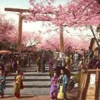 5c8ae30d22000030001a0bd6