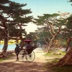 5c8ae30e22000033001a0bdb