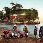 5c8ae30f360000c81a6c3cbd