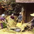 5c8ae30f2300005400e7574c