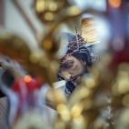 Un detalle del Cristo de la Vera-Cruz en su trono durante la procesión de la Primitiva, Pontificia y Real Congregación del santísimo Cristo de la Vera-Cruz y María Santísima de los Dolores.