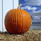 Es uno de los alimentos m&aacute;s beneficiosos para mejorar nuestras defensas, a la vez que uno de los m&aacute;s olvidados en la lista de la compra. La calabaza tiene una elevada presencia de beta-caroteno que, tras ser absorbido por el organi...