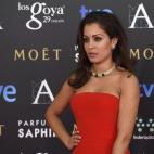 Vestida por Nicolás Vaudelet