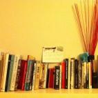 @Jkmbcn @ElHuffPost #mibiblioteca pequeña pero querida: clásicos, teatro, guías y novela. Ah! Y algo de cocina. Nunca falta!