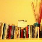 @Jkmbcn @ElHuffPost #mibiblioteca pequeña pero querida: clásicos, teatro, guías y novela. Ah! Y algo de cocina. Nunca falta!