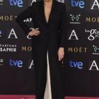 Vestido de Nicolás Vaudelet, joyas Carrera y Carrera