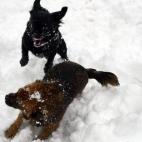 5c8b6a18230000d50424ac10