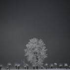 5c8b6a182400006d054d6b70