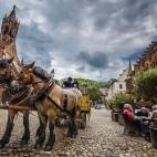 La increíble Selva Negra, el Rin o el Danubio son algunos de los espectaculares paisajes naturales que podrás encontrar en Baden–Wurttemberg. Pero no puedes olvidarte de Stuttgart, Friburgo, Heidelberg o Ulm, con su imponente arquitectura y ...