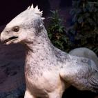 5c8aadc92500005206818a6d