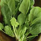 5c8a97af240000f404a34603