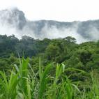 El Parque Nacional de las Montañas Udzungwa, en Tanzania, es de esos paraísos que aún no han sido reconocidos como Patrimonio de la Humanidad.