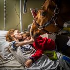 Doctor Peyo and Mister Hassen, J&eacute;r&eacute;my Lempin, Francia.