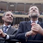 5c8aede62500000d04c9df52