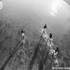 Septiembre: el pueblo masái de Tanzania celebró que el Primer Ministro declarara que daría marcha atrás a un plan que les hubiera arrebatado cerca de 2.400 kilómetros cuadrados en nombre de la conservación. La región de Loliondo permanece...