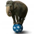 Enrique Cascallana, alcalde de Alcorcón entre 2003 y 2011, proyectó en 2007 la construcción de un circo, una escuela de circo y unas cuadras. Costó 120 millones de euros y acumula una deuda de 600 millones. Todo un circo de inversión.