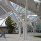 Inaugurado en 2009 y con un coste de 7,7 millones de euros, el Bosque de Acero de Cuenca está abandonado porque nadie sabe qué uso darle.