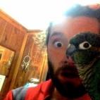 5c8a4ded2500001304c8def5