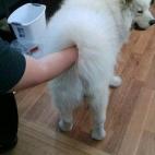 5c8a4df0360000a61b6b4e37