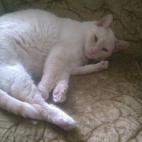 5c8a4df120000043046efc90