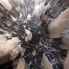 5c8b7474360000c81a6d2002