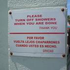 Natalia Love @ Flickr.