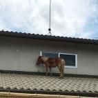 5c8a53ca2400000a05a2f1a7