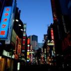 Tokyo es una ciudad que parece que vive en el futuro. Aunque por sus calles se ven muchas tiendas y un ambiente divertido, también alberga templos y jardines que inspiran mucha paz. Ver más fotos aquí.