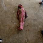 5c8a54172400005405a2f215