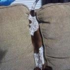 5c8b264b2500000704ca2c38