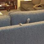 5c8b264c2400000a05a437b1