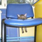 5c8b264d2300005400e7b350