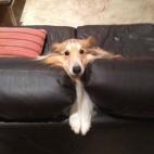 5c8b264d2300005300e7b354