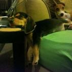 5c8b264f2500000704ca2c3e