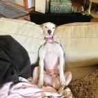 5c8b264f2300003000e7b35a