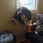 5c8b26503b000002076d18d8