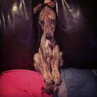 5c8b26502500001304ca2c45