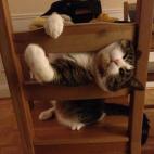 5c8b265022000030001a68a6