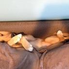 5c8b265122000031001a68a8