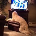 5c8b26512000009d03704558