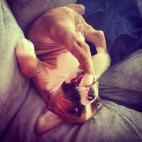 5c8b265122000051001a68ac