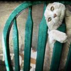 5c8b265222000031001a68ae